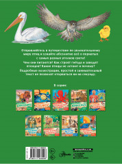 Птицы - Фото 1