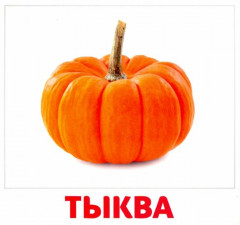 Развивающие карточки «Я познаю мир» - Фото 1