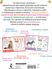 Главная книга о животных - Фото 1