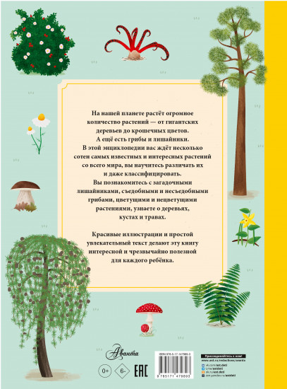 Растения