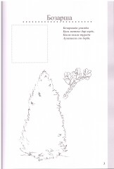 Боямақ «Қылқанжапырақтылар» - Фото 1