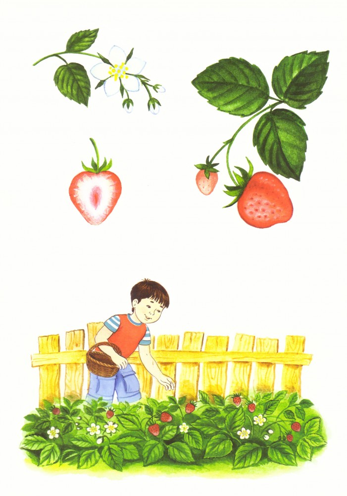 Әйелдер оны кискаларына салады Порно аналар ұйықтап жатқан әйелдермен секс