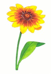 Дидактикалық материалдар «Бақша гүлдері» - Фото 2