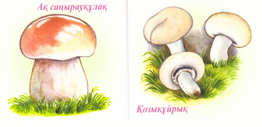 Жалаңаш француз әншісі Ализи Жакоте