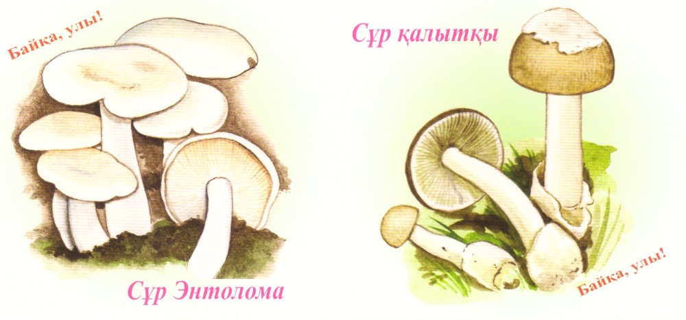 Шаман Карол секс