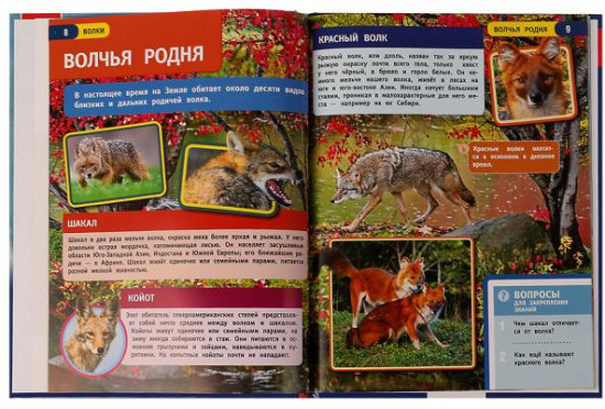 Энциклопедия «Волки»