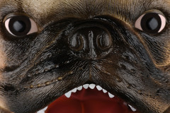 Игрушка-перчатка «Собака Бульдог» - Фото 3