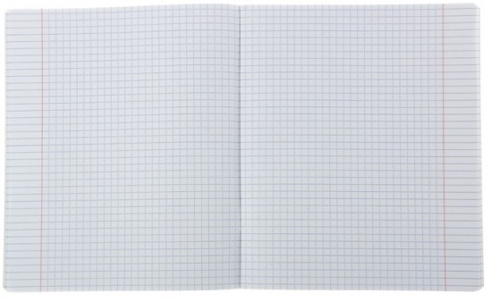 Тетрадь предметная Online Journals «Информатика», 48 листов, клетка