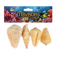 Набор ракушек 100 г - Фото 1