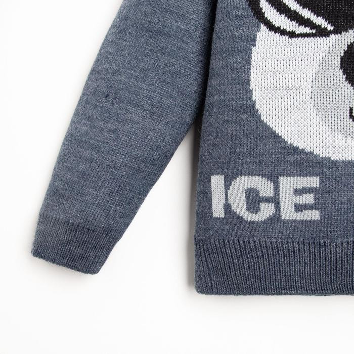 Комплект для мальчиков «Ice Baby» | Вязаные вещи | Крошка Я | Фото 3