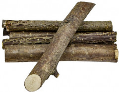 Веточки ореха - Фото 1