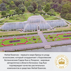 Шампунь для волос бережное очищение - Фото 3