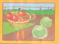 Наклей картинку. Занятия с детьми от 3 до 5 лет - Фото 4