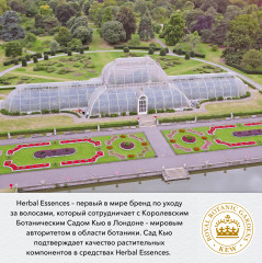 Шампунь для волос бессульфатный «Защита цвета и блеск» - Фото 7