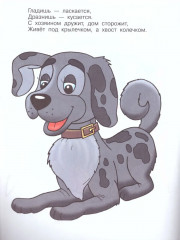 Загадки. Книжка-раскраска - Фото 2