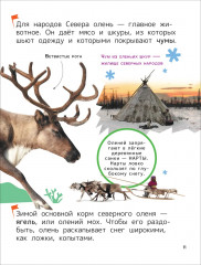 Животные. Энциклопедия для первого чтения с крупными буквами - Фото 3