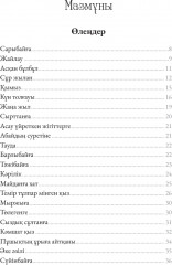 Күн толғауы. Өлеңдер жинағы - Фото 2