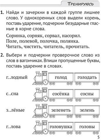 Русский язык. 2 класс. Пишу грамотно