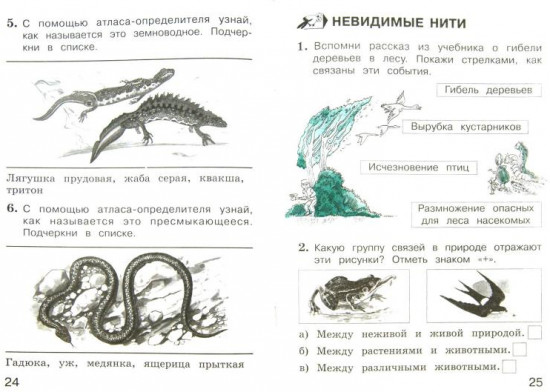 Окружающий мир. 2 класс. Тетрадь. Часть 1