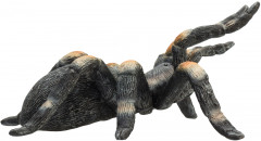 Фигурка «Красноколенный тарантул» - Фото 3