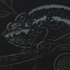 Гравюра «Разноцветный хамелеон» - Фото 3