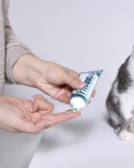 Гель стоматологический для животных «Fitodoc» - Фото 5