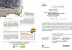 Птицы в комиксах. Том 3 - Фото 5