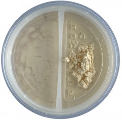 Пудра минеральная банановая «Studio Finishing Loose Banana Powder» - Фото 3