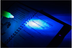 Блокнот «Пушистый детектив» - Фото 4