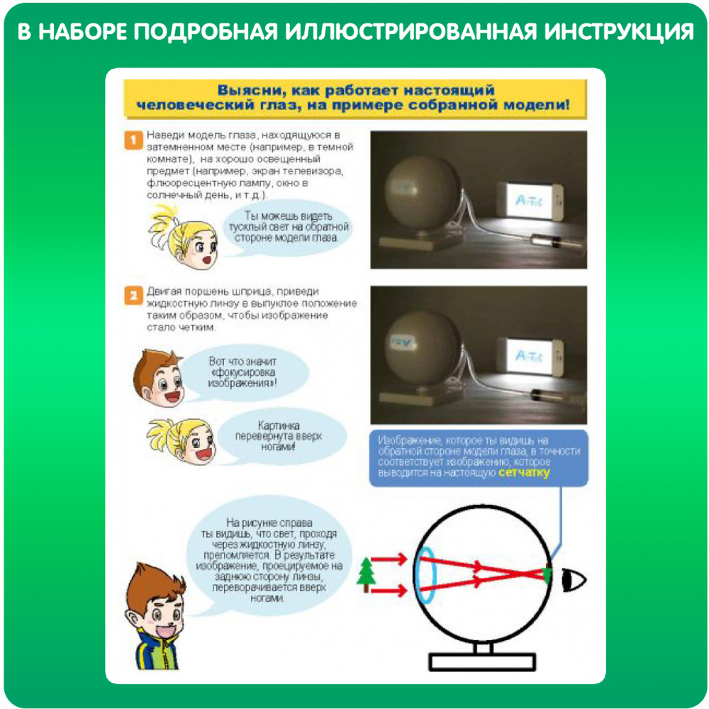 Набор для опытов «Модель глаза» | Японские опыты Науки с Буки | Bondibon | Фото 5