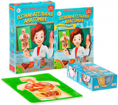 Набор для опытов «Познавательная анатомия» - Фото 2