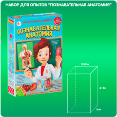 Набор для опытов «Познавательная анатомия» - Фото 3