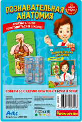 Набор для опытов «Познавательная анатомия» - Фото 11