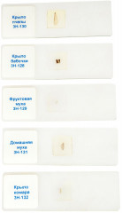 Слайды для микроскопа «Насекомые» - Фото 3