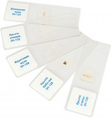 Слайды для микроскопа «Насекомые» - Фото 4