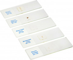 Слайды для микроскопа «Насекомые» - Фото 5