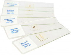 Слайды для микроскопа «Насекомые» - Фото 7