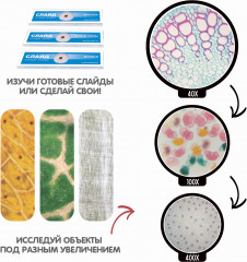 Набор для опытов «3D-микроскоп» - Фото 6
