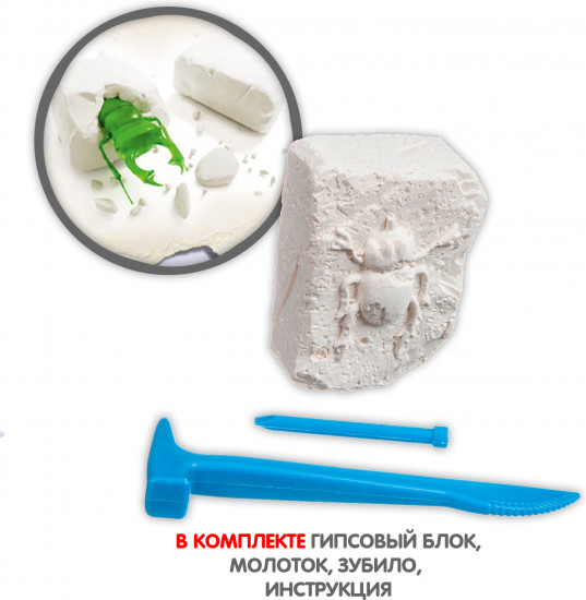 Раскопки исторические «Насекомые»