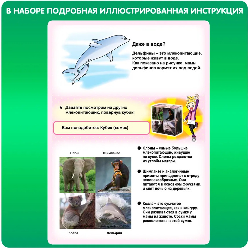 Набор для опытов «Тайны природы» | Японские опыты Науки с Буки | Bondibon | Фото 4
