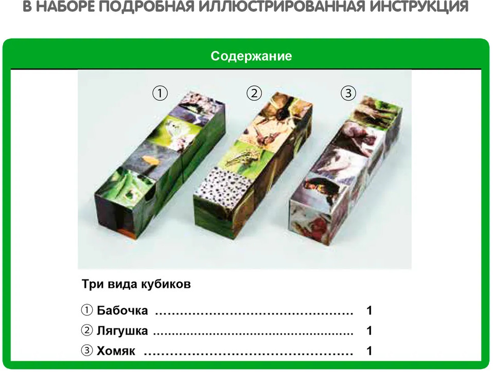 Набор для опытов «Тайны природы» | Японские опыты Науки с Буки | Bondibon | Фото 6