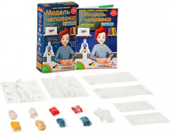 Набор для опытов «Модель человека и рыбы» - Фото 1