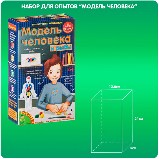 Набор для опытов «Модель человека и рыбы»