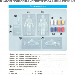 Набор для опытов «Модель человека и рыбы» - Фото 7