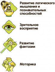 Набор для опытов «Модель человека и рыбы» - Фото 8