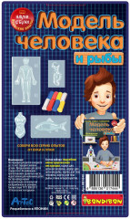 Набор для опытов «Модель человека и рыбы» - Фото 9