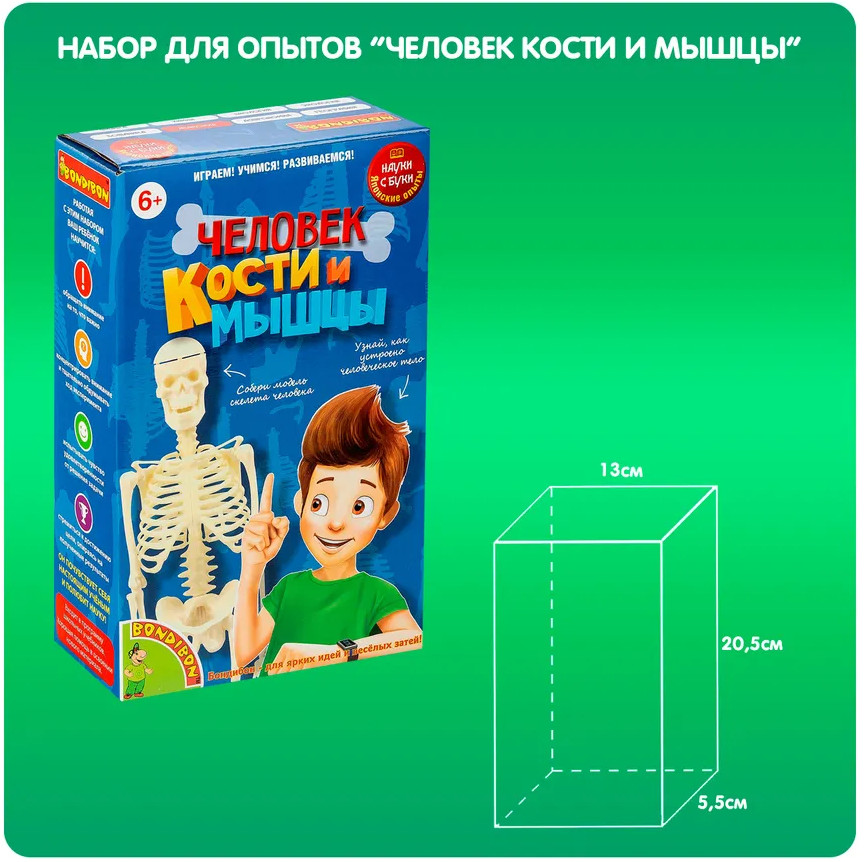 Набор для опытов «Кости и мышцы» | Японские опыты Науки с Буки | Bondibon | Фото 3