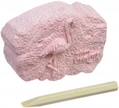 Набор для раскопок «Фламинго» - Фото 1