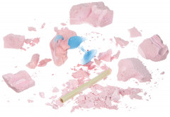 Набор для раскопок «Фламинго» - Фото 2