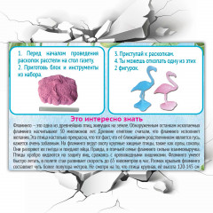 Набор для раскопок «Фламинго» - Фото 6